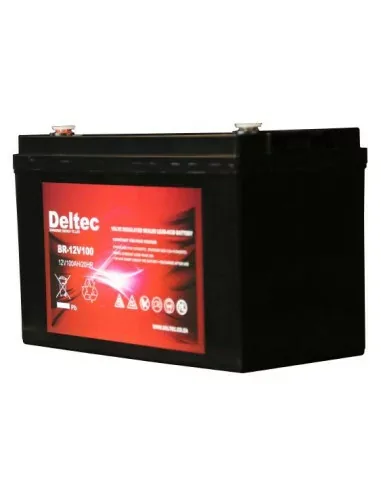 Deltec 12V 100Ah AGM Battery